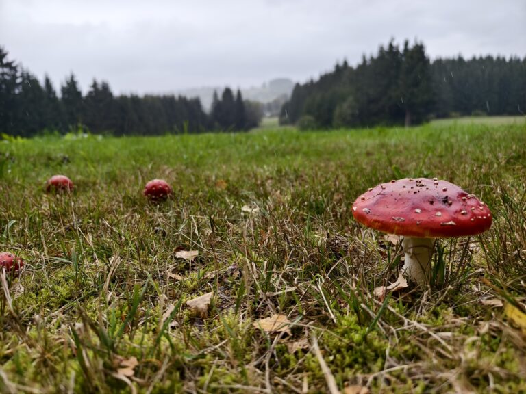 Výjezd na Kuklík